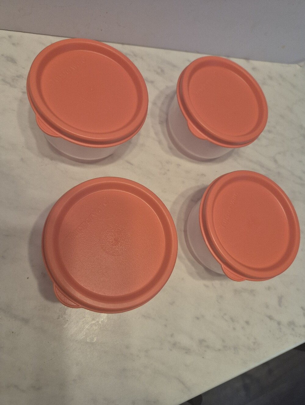 TUPPERWARE  Snack Set 4 Pack